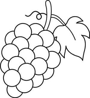 Grapes Coloring Pages, HD Png Download PNG image with transparent background