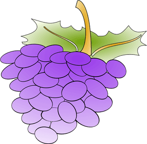 Grapes Svg Clip Arts - Cartoon Grapes, HD Png Download PNG image with transparent background