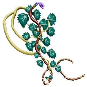 Grapevine Illustration PNG image with transparent background