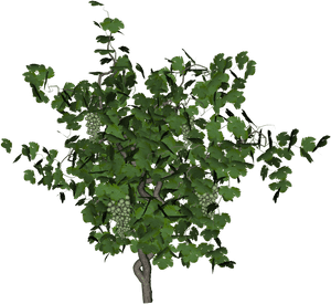 Free Icons Png, Transparent Png PNG image with transparent background