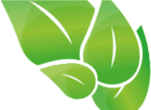 Graphic Design, HD Png Download PNG image with transparent background