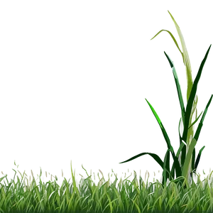 Grass Background Clipart Png 10 PNG Image