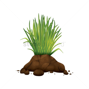 Soil Vector At Free For Personal Use Transparent Png - Vector Soil Png, Png Download PNG with transparent background