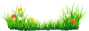 Grass_and_ Wildflowers_ Vector PNG image with transparent background