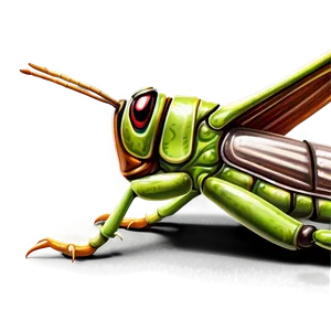 Grasshopper Leg Detail Png 06122024 PNG Image