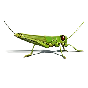 Grasshopper Profile Png Htv PNG Image