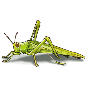 Grasshopper Sketch Png 37 PNG Image