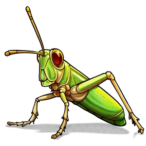 Grasshopper Sketch Png Qps PNG Image