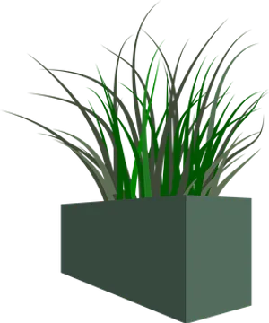 Grassin Rectangular Pot Vector PNG Image