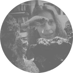 Gray Dot Image Png, Transparent Png PNG image with transparent background