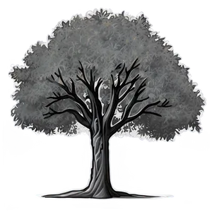 Grayscale Tree Outline Png 06252024 PNG Image