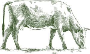 Grazing Calf Silhouette PNG Image