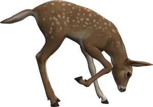 Grazing Fawn3 D Model PNG Image