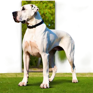 Great Dane In Park Png 06212024 PNG Image