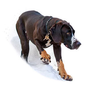 Great Dane In Snow Png 25 PNG Image