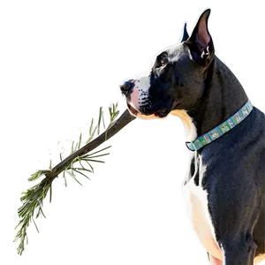 Great Dane In Snow Png Xbs PNG Image