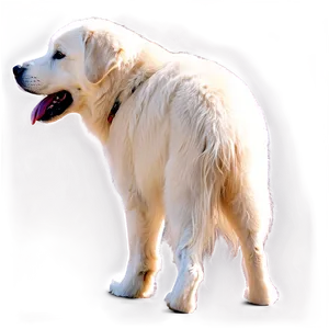 Great Pyrenees Dog Png 06292024 PNG Image