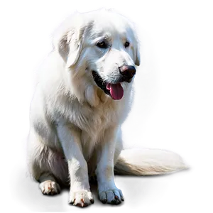 Great Pyrenees Sitting Png 81 PNG Image