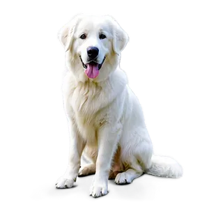 Great Pyrenees Sitting Png Wpb48 PNG Image