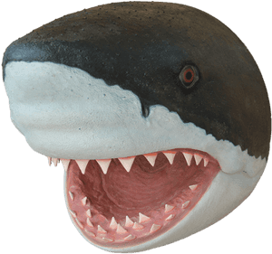 Tiger Shark Dog Puppy Fish - Shark Head Png PNG image with transparent background