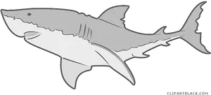 Great White Shark Illustration PNG Image