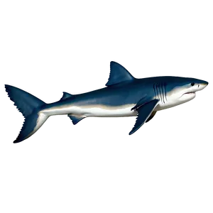 Great White Shark In The Ocean Png Day84 PNG Image