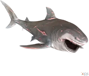 Great White Shark Open Mouth PNG Image