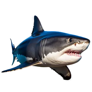 Great White Shark Png 89 PNG Image