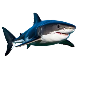 Great White Shark Swimming Png 06122024 PNG Image