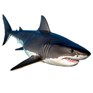 Great White Shark Swimming Png 89 PNG Image