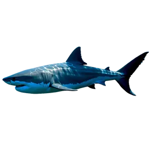 Great White Shark Underwater Png 59 PNG Image