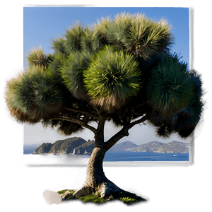 Greek Island Landscape PNG fuf99 PNG