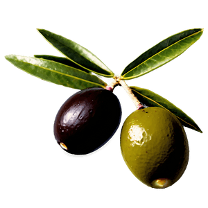 Greek Olive Branch PNG 55 PNG with transparent background