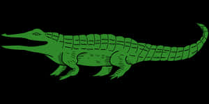 Green Alligator Illustration PNG image with transparent background