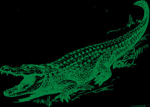 Green Alligator Illustration PNG image with transparent background