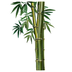 Green Bamboo Leaves Png Mlp19 PNG Image