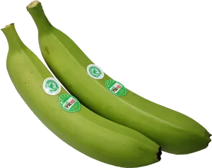 Green Bananas Black Background PNG Image