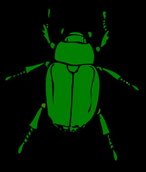 Green Beetle Illustration PNG image with transparent background