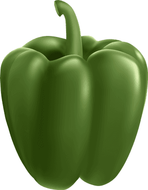 Bell Bell Pepper,bell Peppers And Chili Nutrition,nightshade, HD Png Download PNG with transparent background