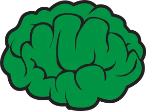 Green Brain Clipart PNG Image