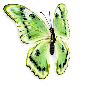 Green Butterfly In Garden Png Vbd PNG Image