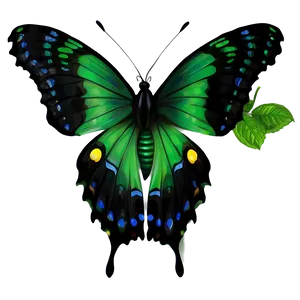 Green Butterfly In Nature Png 06202024 PNG Image