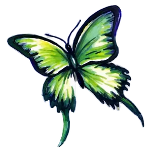 Green Butterfly In Watercolor Splash Png 06202024 PNG Image