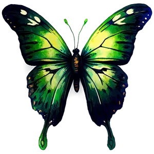 Green Butterfly In Watercolor Splash Png Tqt61 PNG Image