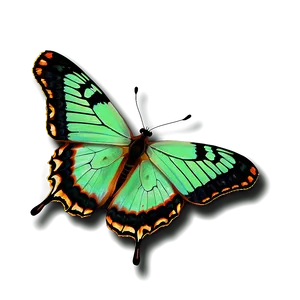 Green Butterfly On White Background Png Fjb PNG Image