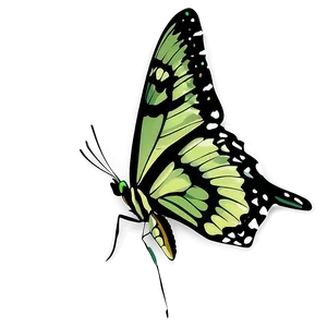 Green Butterfly Png Wpe PNG Image