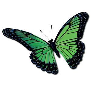 Green Butterfly With Shadow Png 24 PNG Image