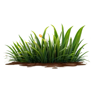 Green Cartoon Grass Png Qad88 PNG Image