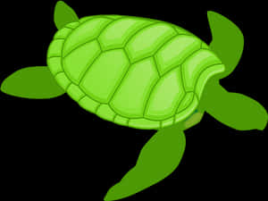 Green Cartoon Turtle Illustration PNG image with transparent background