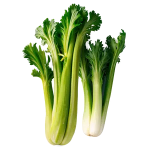 Green Celery Png Utw PNG Image